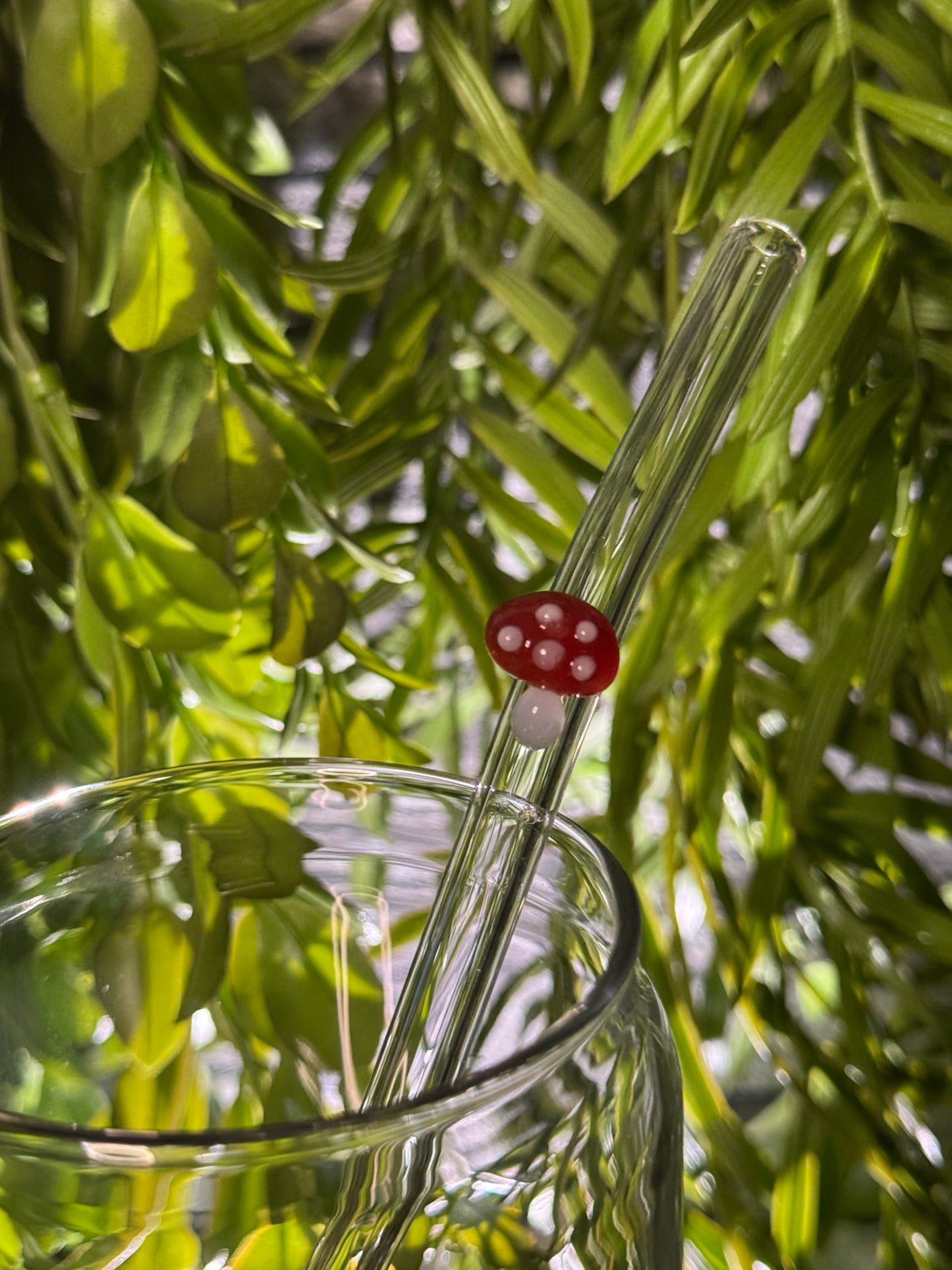 Mushrooms | Glass Straw