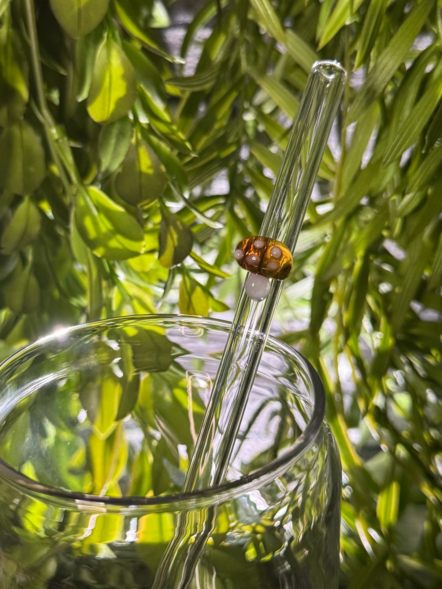 Mushrooms | Glass Straw