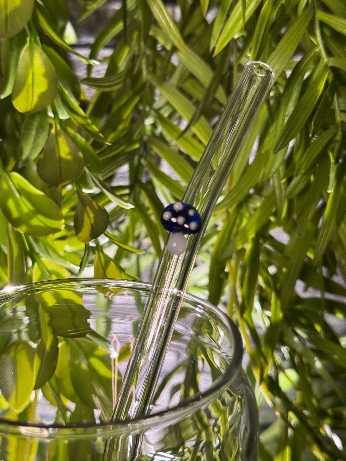 Mushrooms | Glass Straw