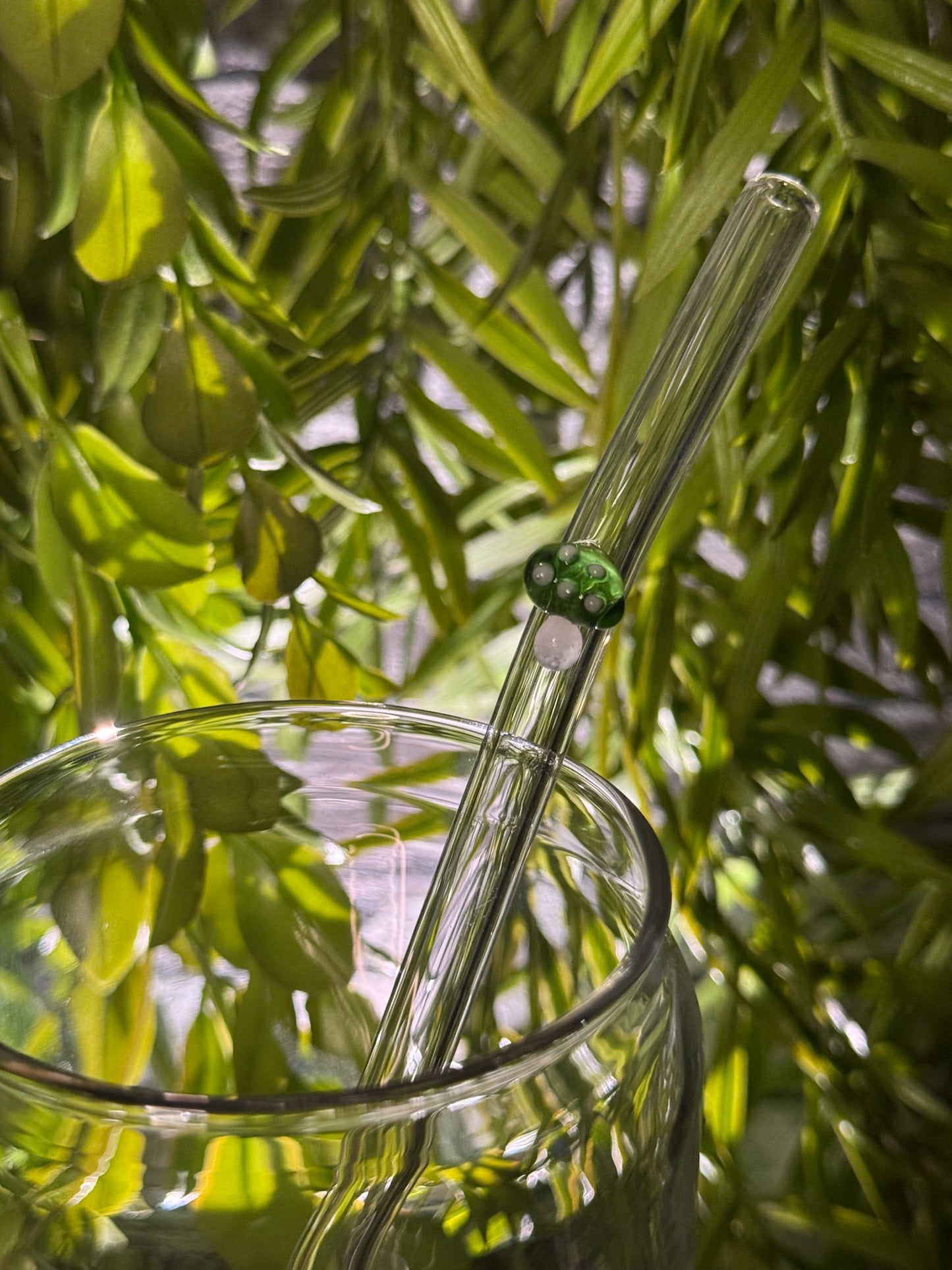 Mushrooms | Glass Straw