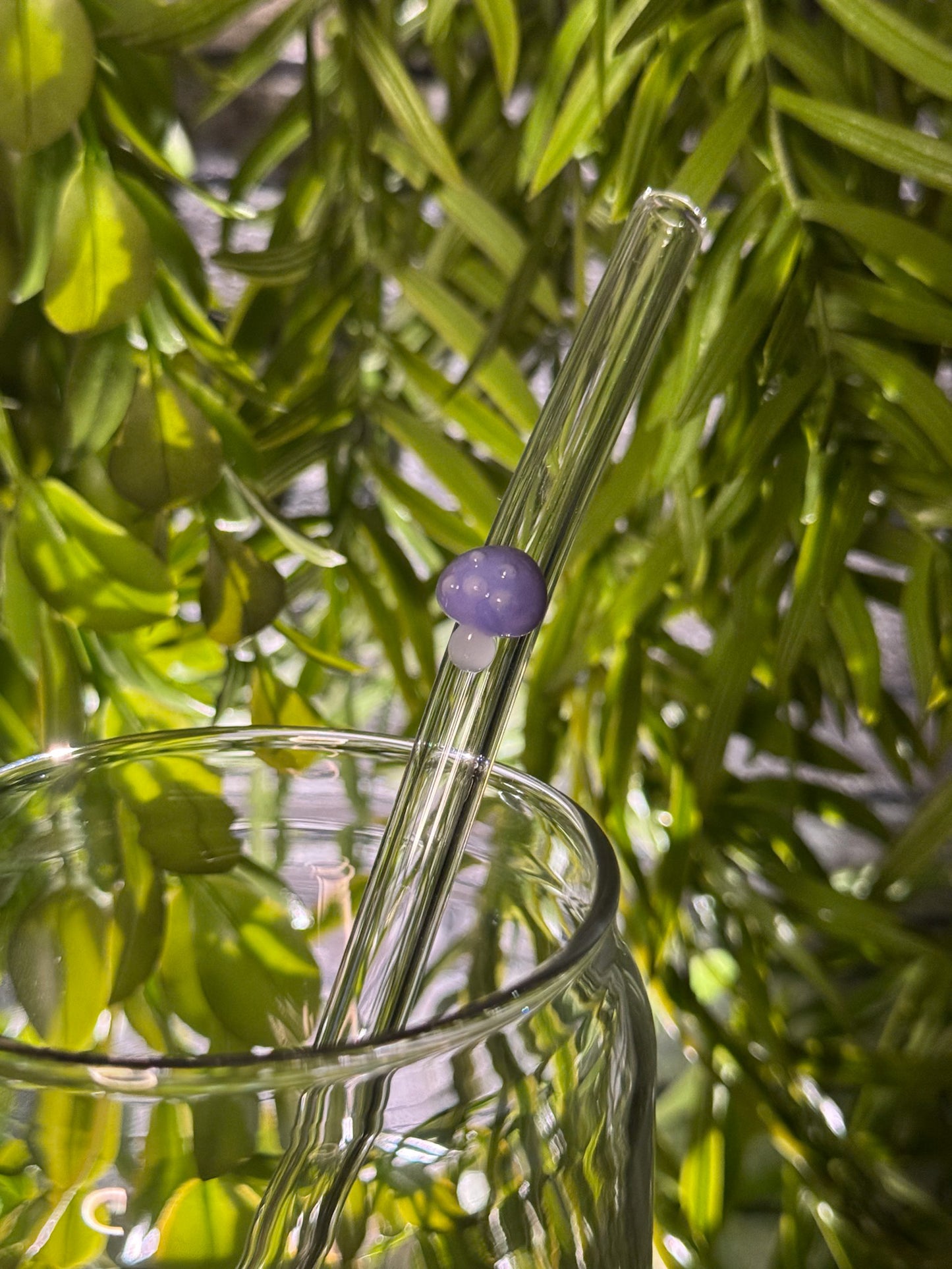 Mushrooms | Glass Straw