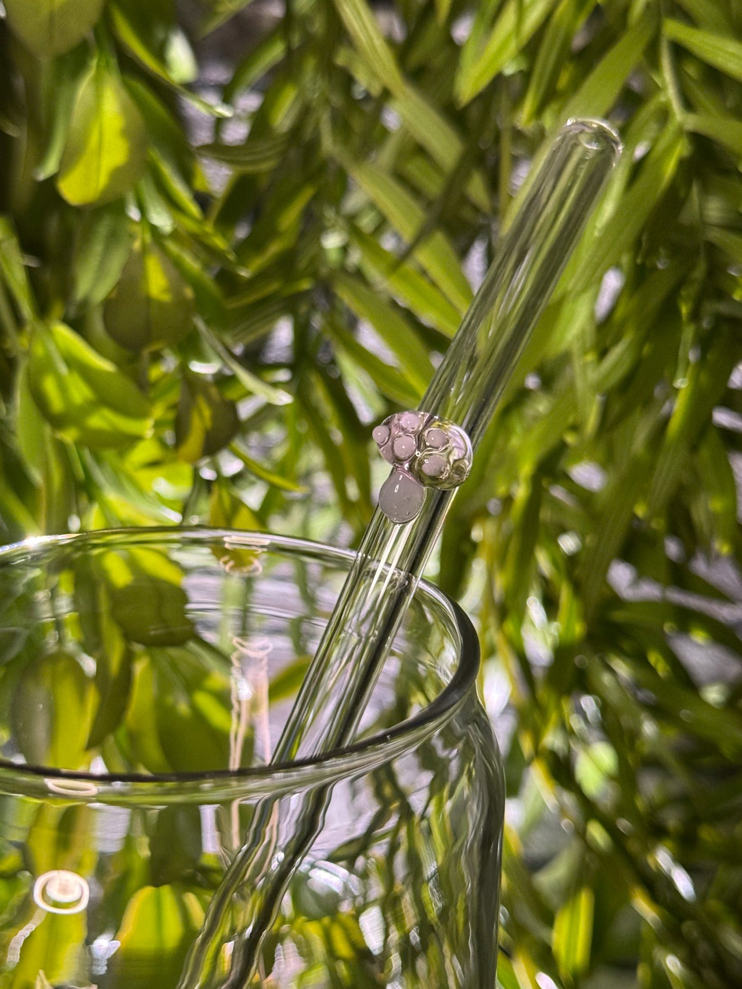 Mushrooms | Glass Straw