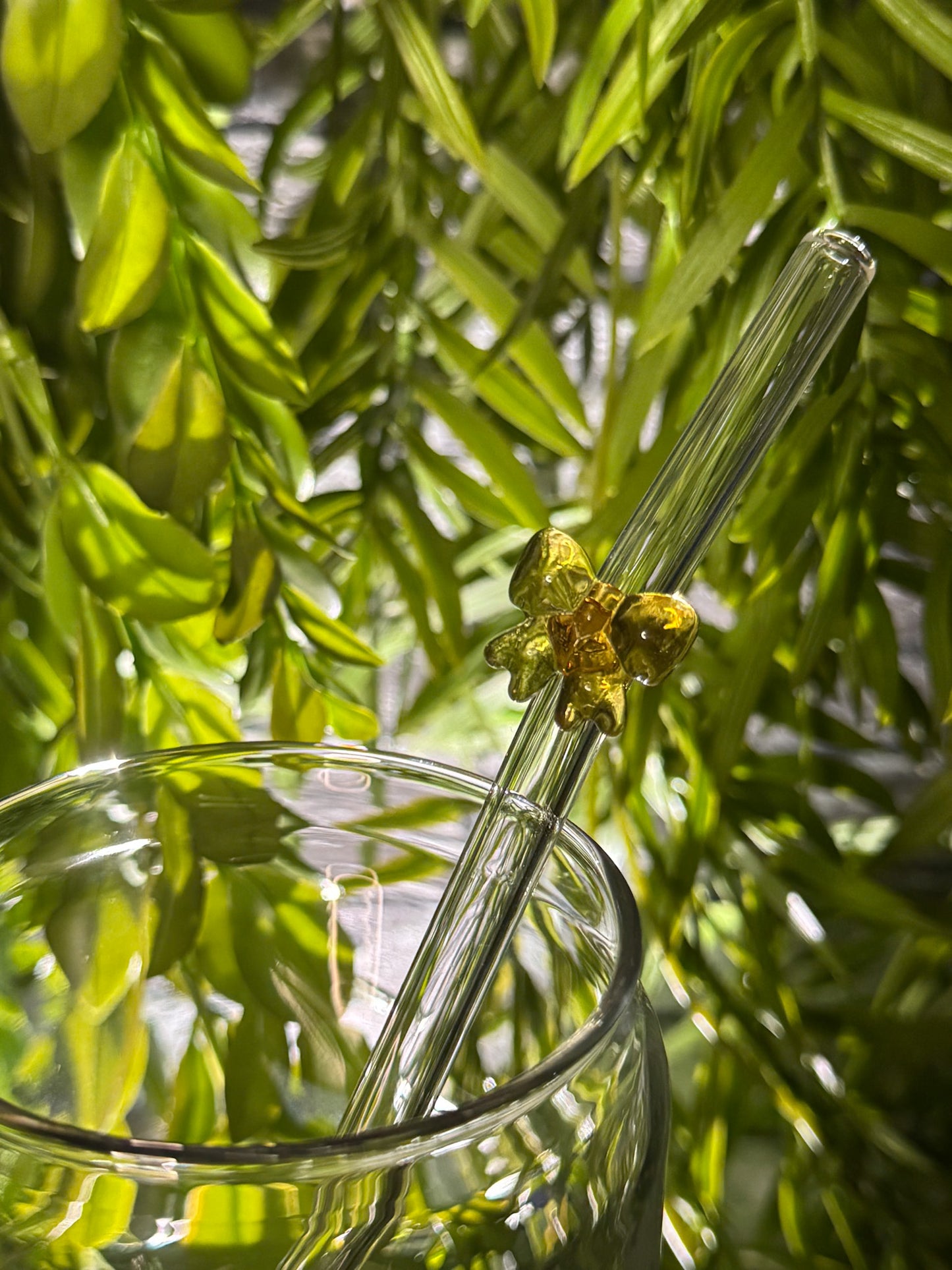 Bows | Glass Straw