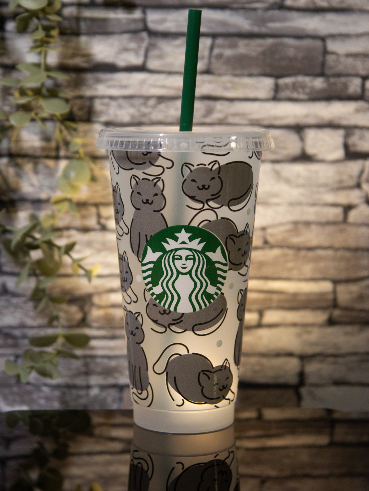 Cats | Venti