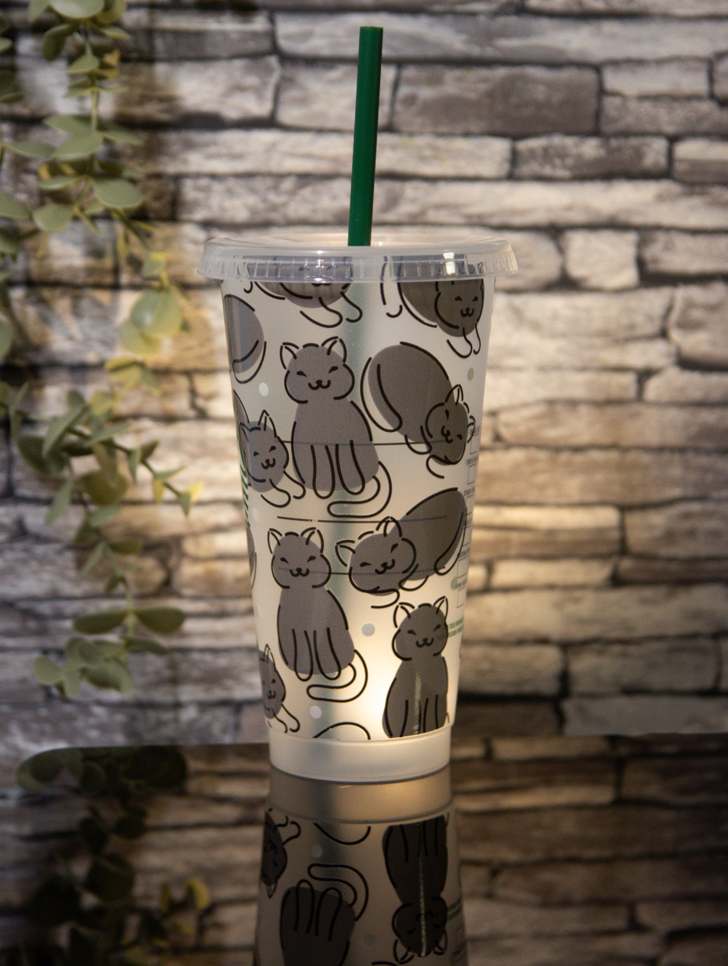 Cats | Venti