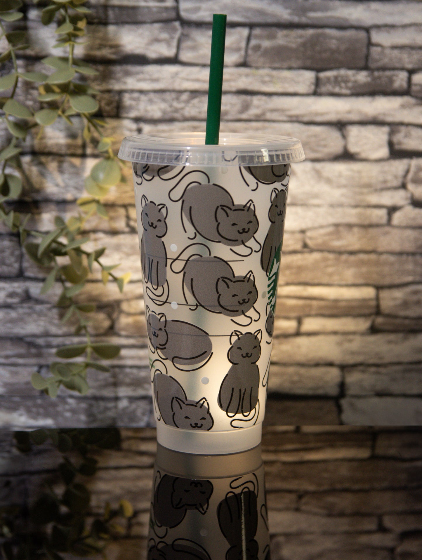 Cats | Venti
