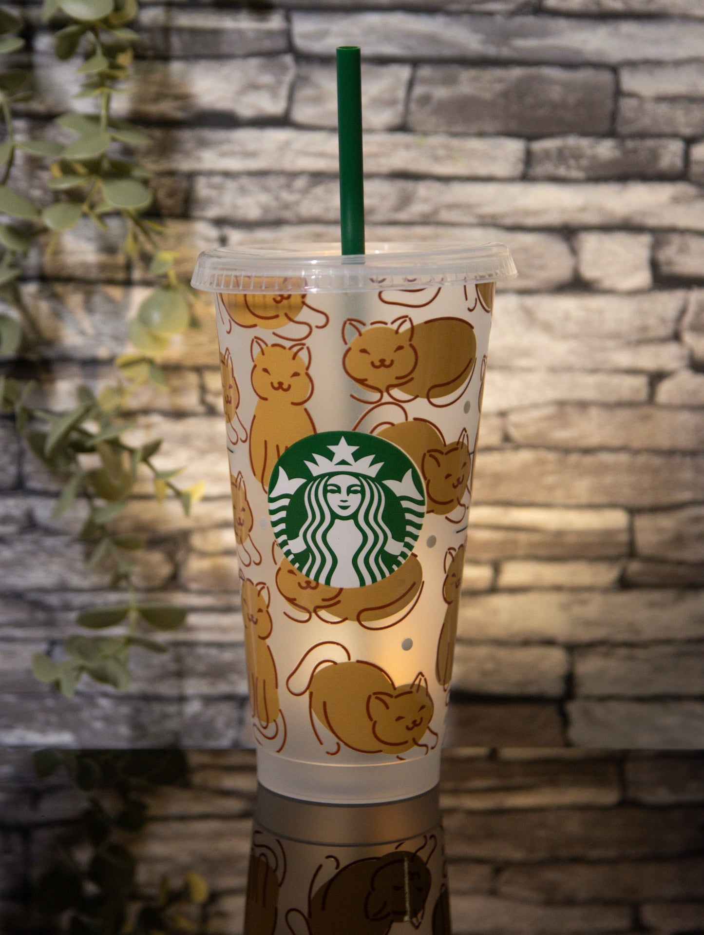 Cats | Venti