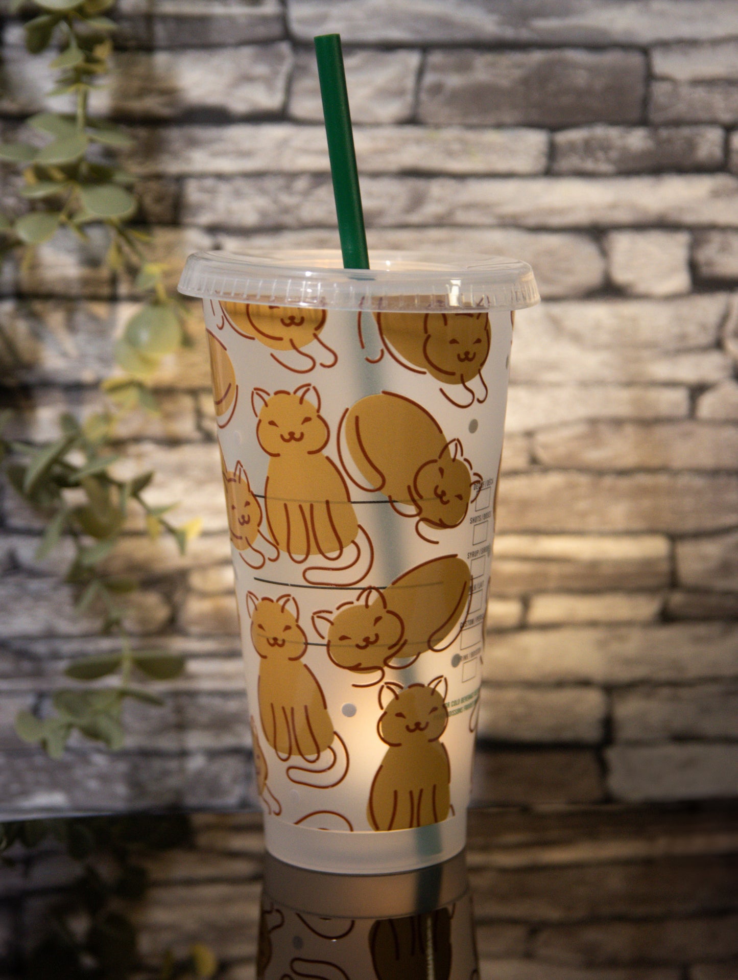 Cats | Venti