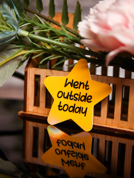 Went Outside Today - Star | Stickers