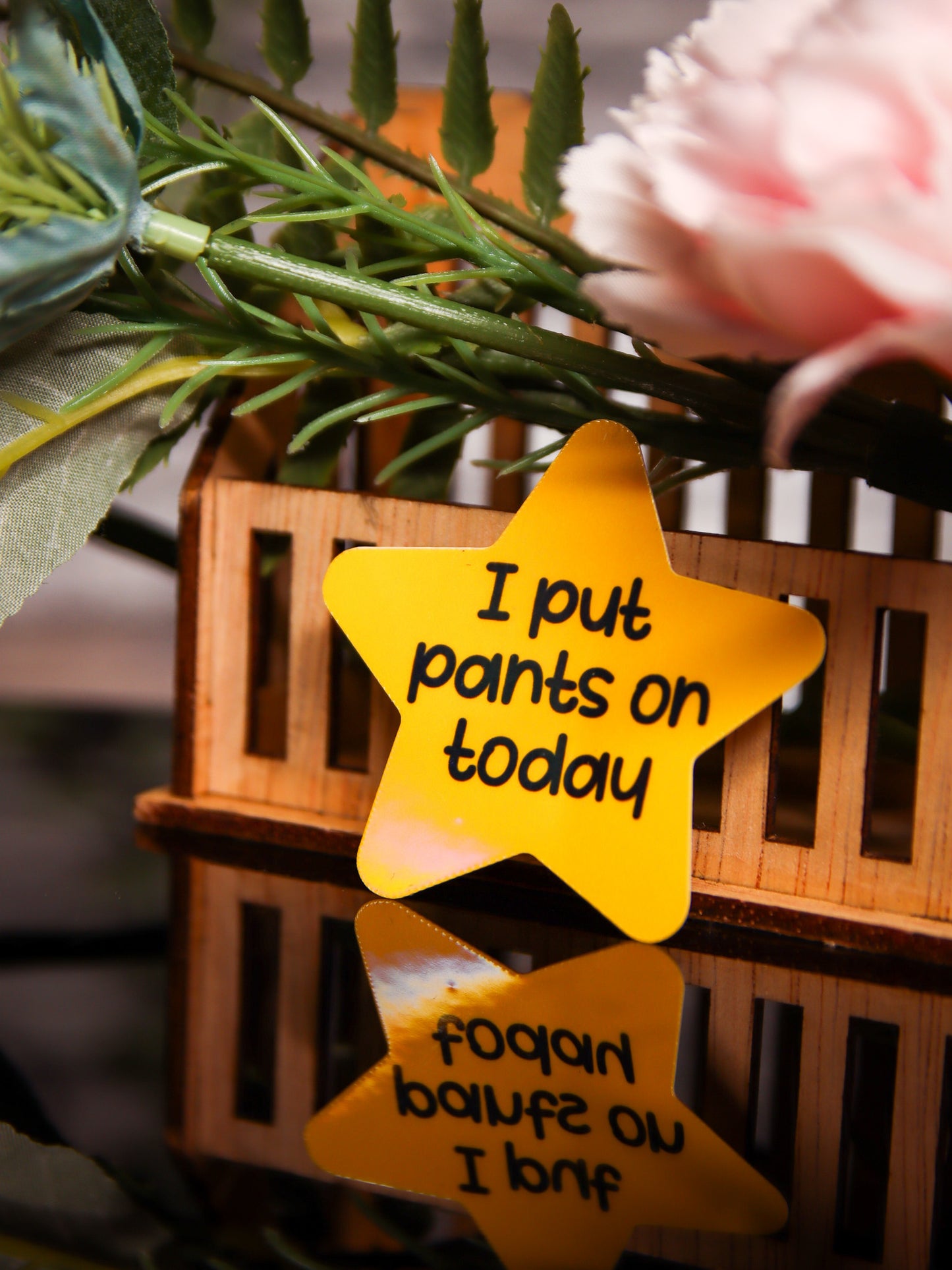 I Put On Pants Today - Star | Stickers